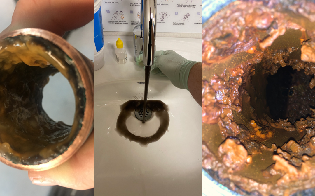 Domestic Water Supplemental Disinfection