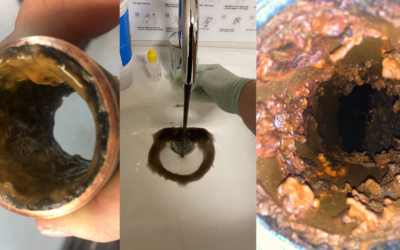 Domestic Water Supplemental Disinfection